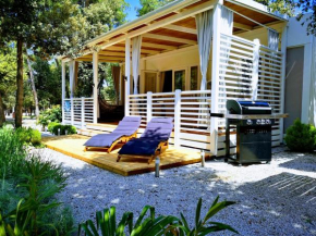 D&Z Mobile Home